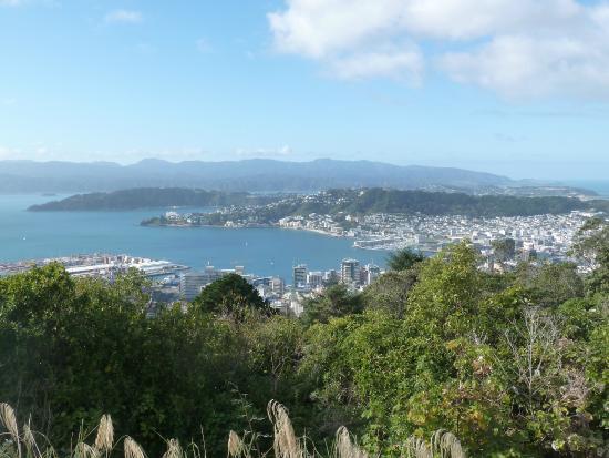 Te Ahumairangi Hill Lookout